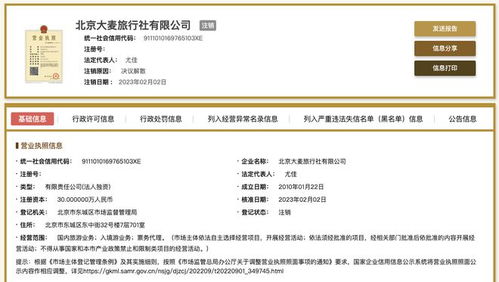 北京大麥旅行社注銷 旅客票務(wù)代理市場變動與行業(yè)啟示